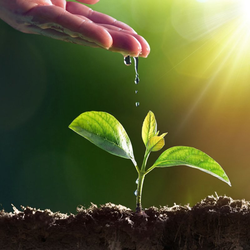 agriculture