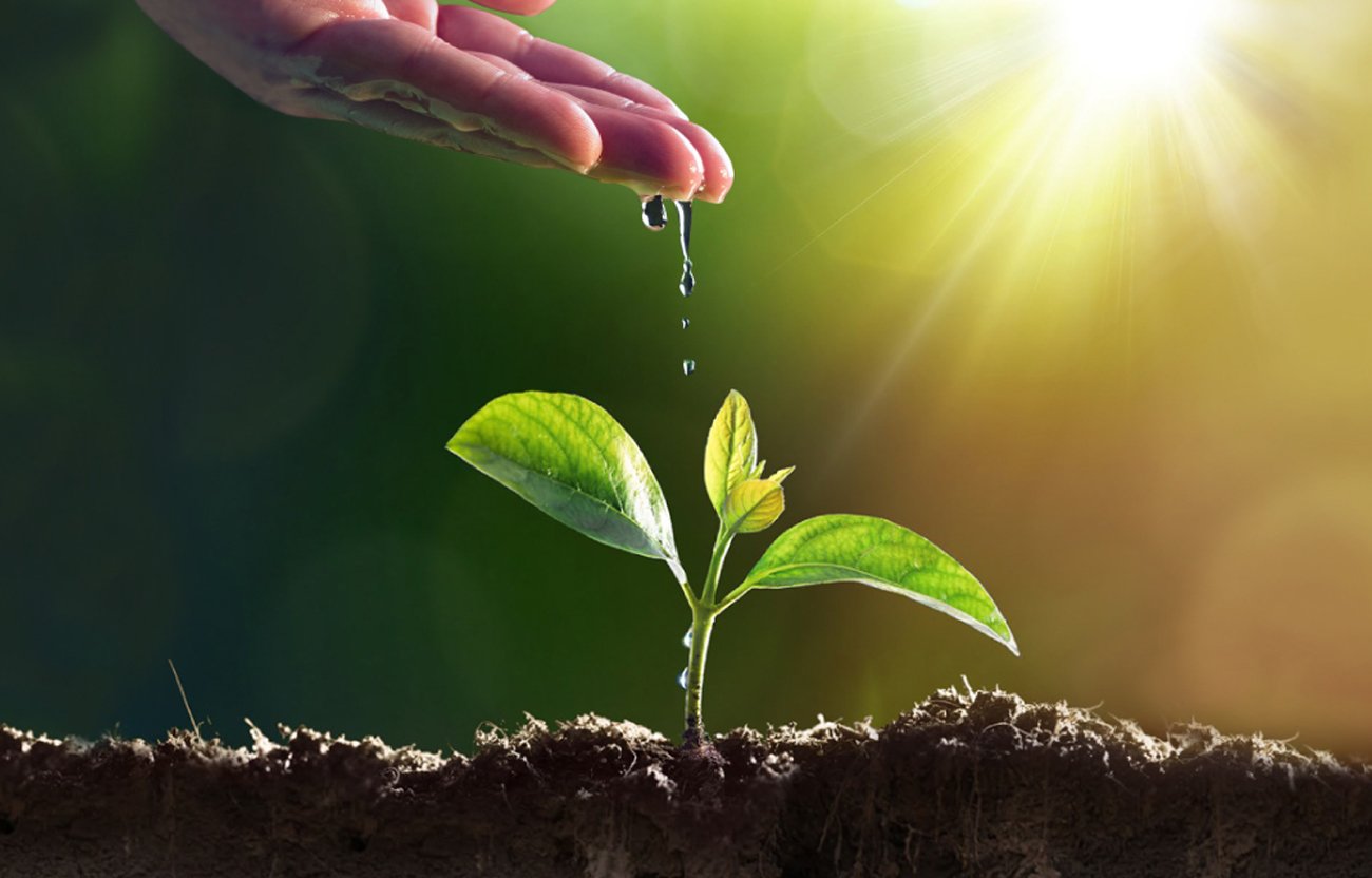 Agriculture